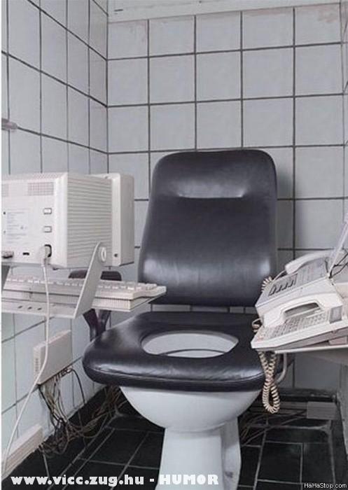 Buisness Toilet