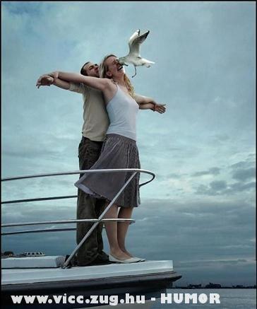 Titanic-sirály