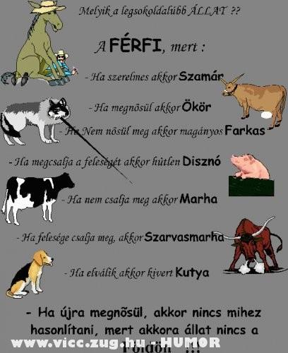 A férfi