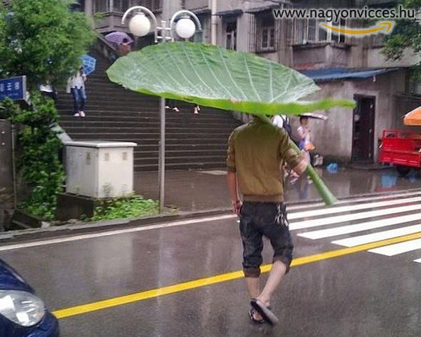 Kreatív esernyő