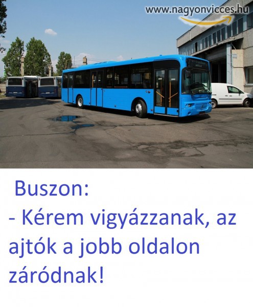 Buszon