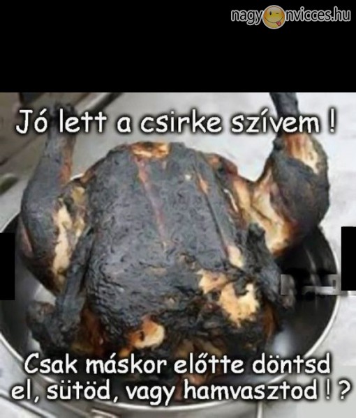 Csirke