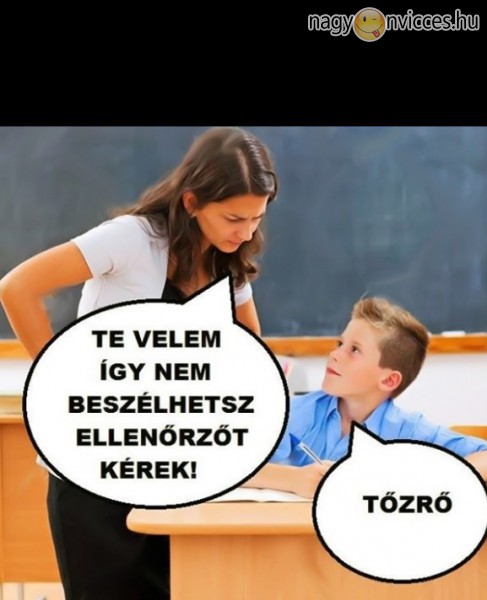 Ellenőrző