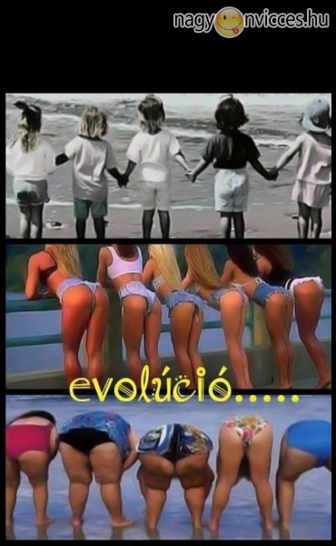 Evolúció