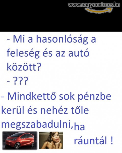 Hasonlóság