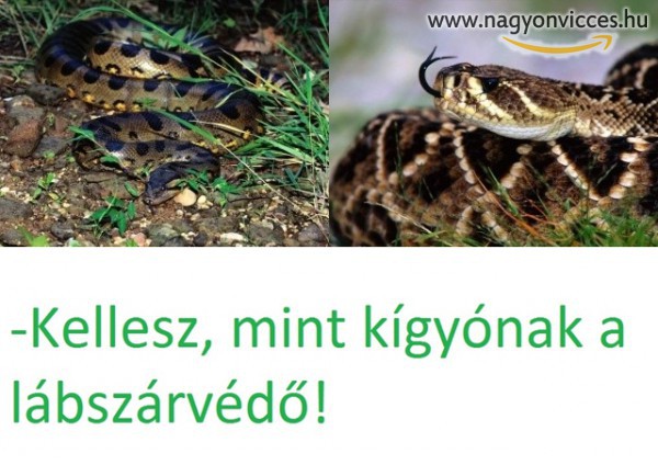 Kígyó