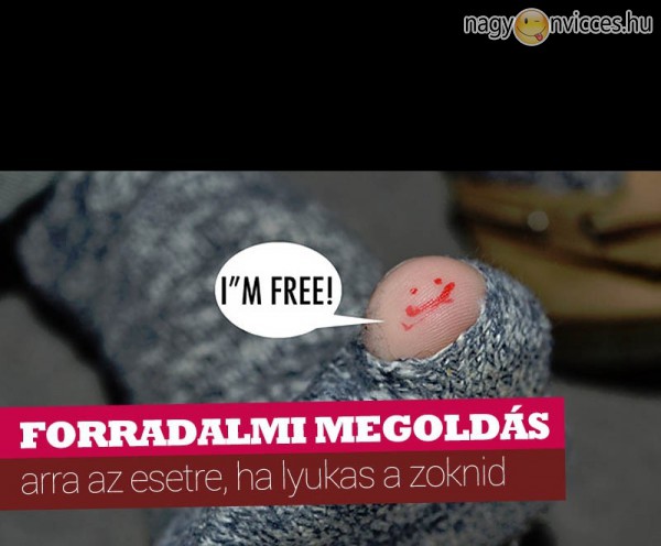 Megoldás