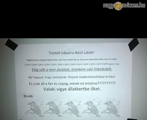 Nincs füldugó