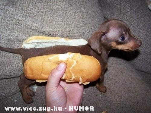 Hot Dog