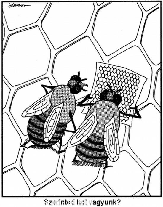 Tanácstalan méhek