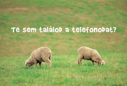 Telefon?