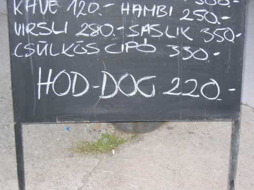 Hoddog