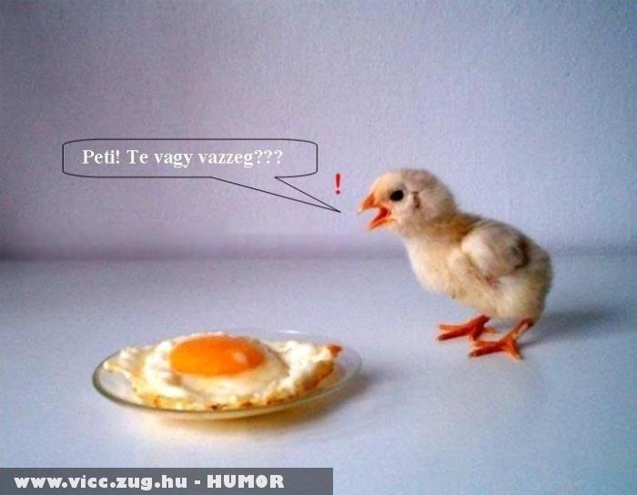 Peti Te vagy az?!