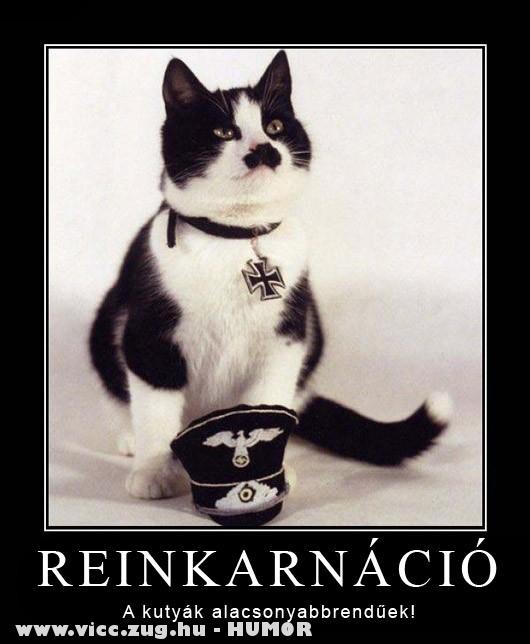 reinkarnáció