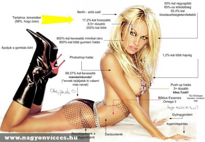 Pamela Anderson a XXI. század mûve