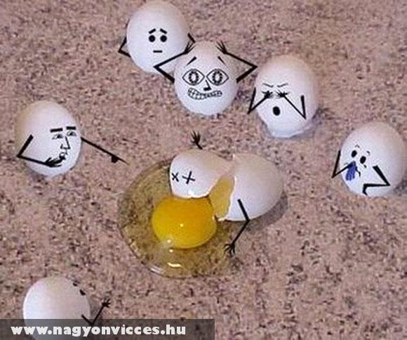 Egy tojás halála