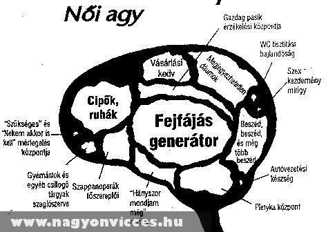 A nõi agy mûködése