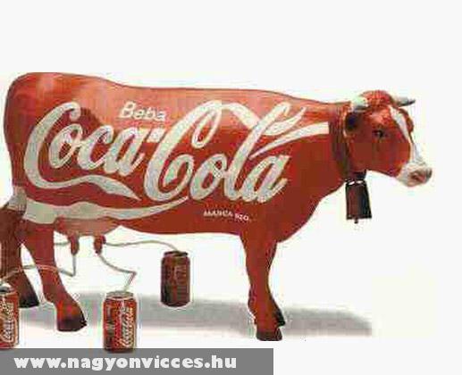 Így készül a Coca Cola