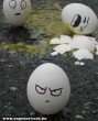 Vicces tojások