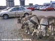 A télapó parkolója