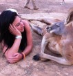 Pihenés egy kenguruval