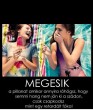 Megesik