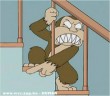 Evil majom - Family Guy
