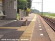 Fegyelmezetten várja a vonatot