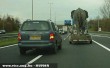 Elefántot szállít az úton