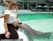 Delfin és az emberi kapcsolat