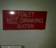 Ne igyál a vízbõl!