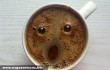 Megdöbbent kávé