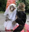 Majom menyasszony a majom võlegénnyel :)